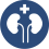 Urologia 