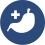 Gastroenterologia 