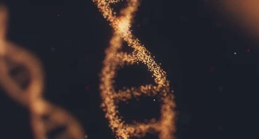 ANIRUDH / Unsplash