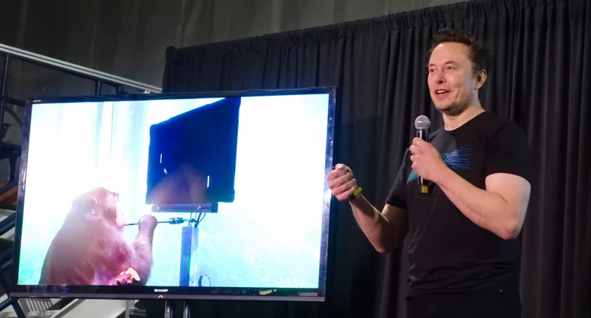 fot. Steve Jurvetson