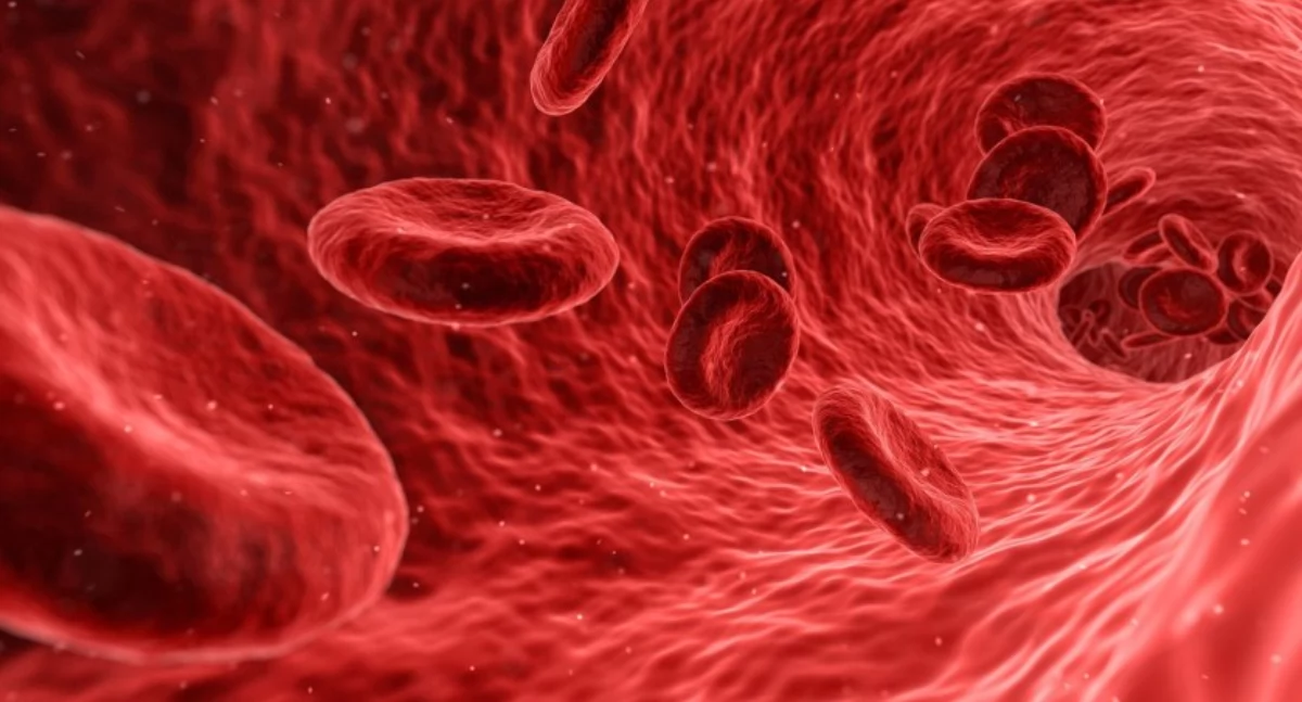 Nowe technologie medyczne, Duży transplantologii Naukowcy stworzyli naczynia krwionośne techniką druku - zdjęcie, fotografia