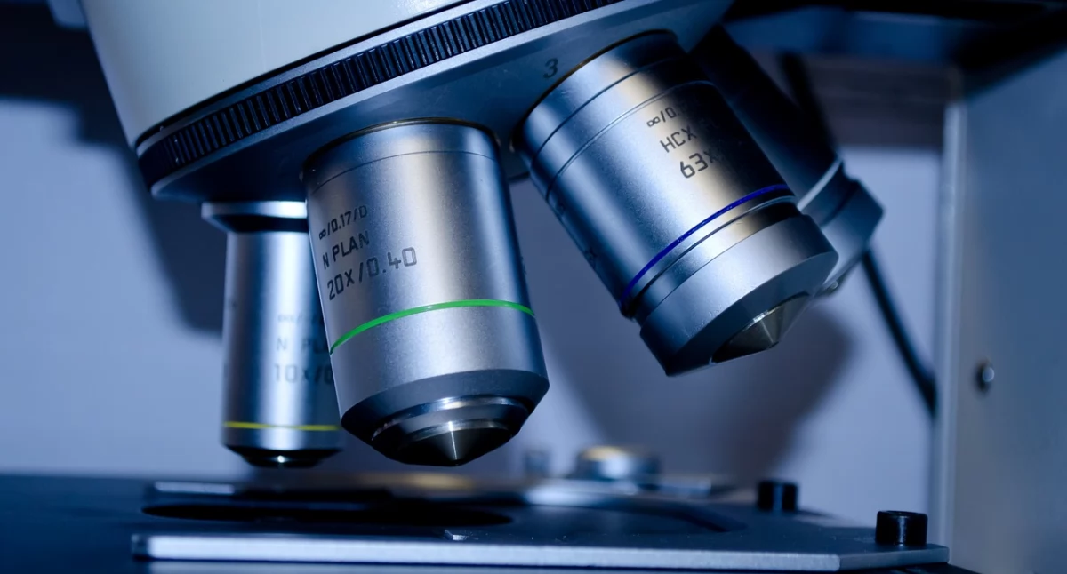 Nowe technologie medyczne, Bakterie jelitowe pomocne immunoterapii nowotworów badania - zdjęcie, fotografia