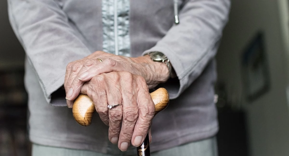 Zdrowe życie, Hodowane neurony ujawniają podstawy choroby Parkinsona - zdjęcie, fotografia