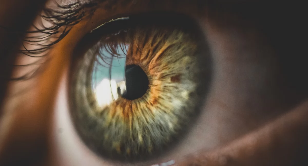 Zdrowe życie, Pierwszy implant jaskrowy wszczepiony Katowicach - zdjęcie, fotografia