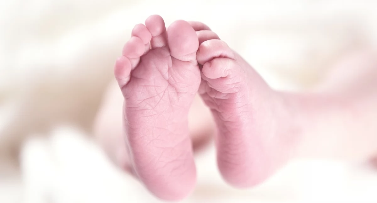Zdrowe życie, program wsparcia rodziców noworodków wcześniaków Olsztynie - zdjęcie, fotografia