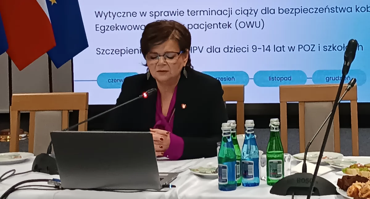 W rządzie, w parlamencie , vitro zdrowie psychiczne wyścig Minister zdrowia podsumowuje swój - zdjęcie, fotografia
