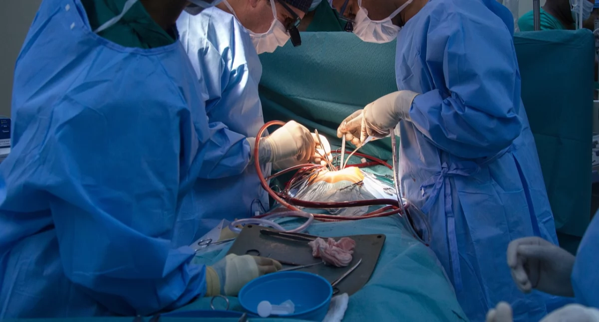 Transplantacje w Polsce
