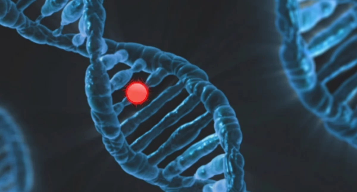 Biotechnologia, genetyka, narzędzie mvGPT zmienia przyszłość leczenia genetycznego - zdjęcie, fotografia