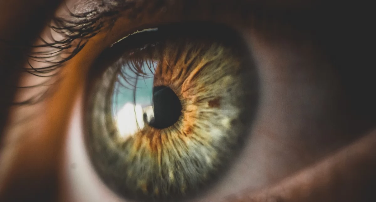 Zdrowe życie, Prosty może pomóc ocenić ryzyko udaru mózgu - zdjęcie, fotografia