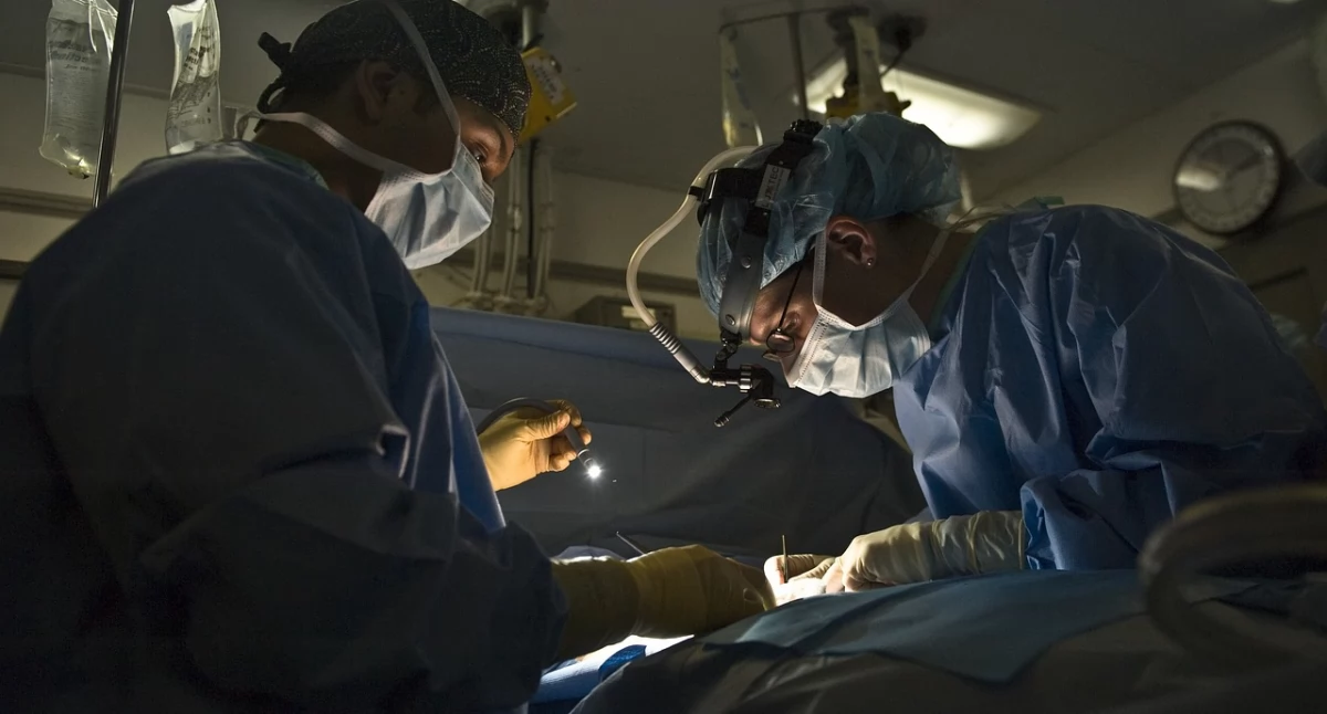 W Polsce, Kolejny rekord polskiej transplantologii - zdjęcie, fotografia