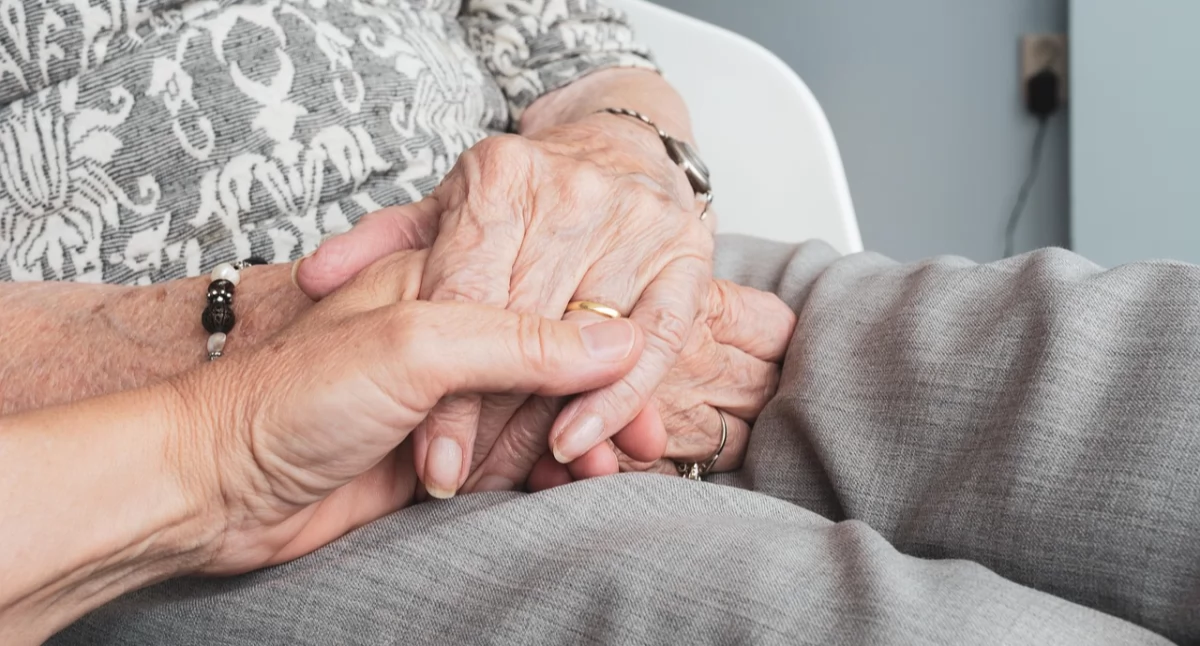Firmy i instytucje, województwach opolskim lubuskim najmniej seniorów bardziej potrzebują opieki - zdjęcie, fotografia