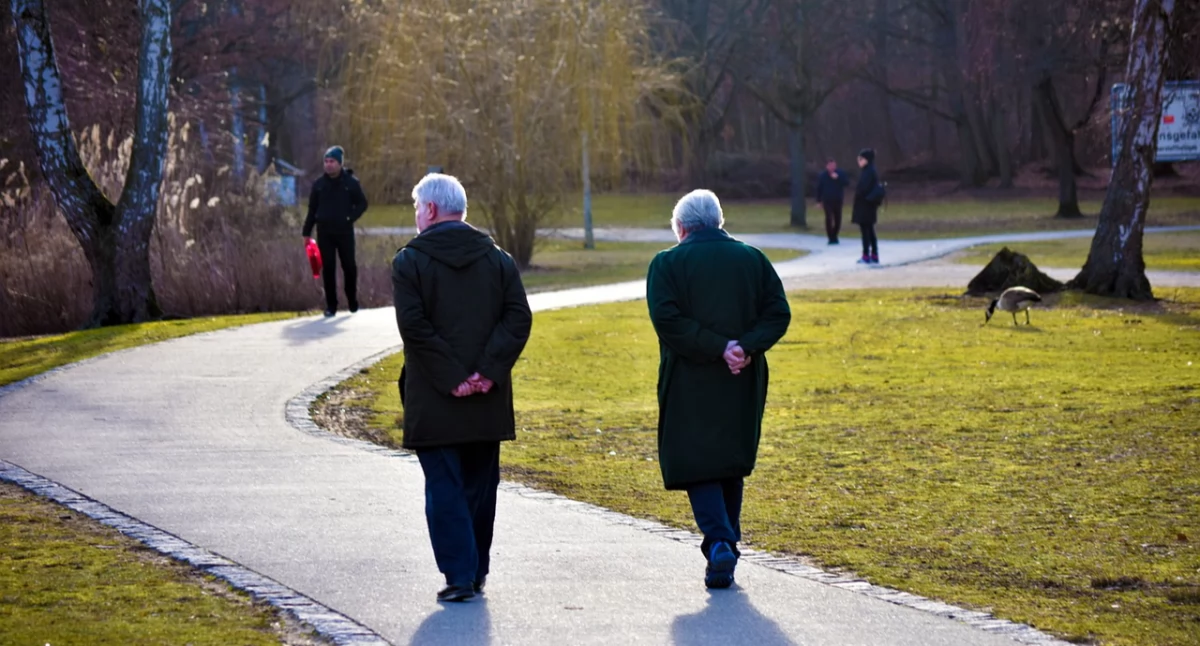 Zdrowie psychiczne, teoria sugeruje jedną przyczynę wyjaśniającą chorobę Alzheimera - zdjęcie, fotografia