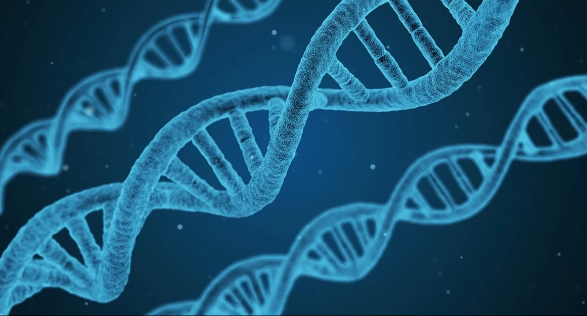 Firmy i instytucje, Polska firma biotechnologiczna otrzymała dofinansowanie rozwój pierwszej świecie platformy genetycznej - zdjęcie, fotografia