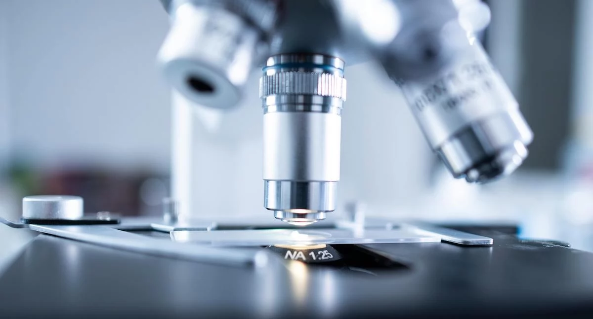 Zdrowe życie, technologia umożliwia zdalne kontrolowanie tkanki serca pomocą światła - zdjęcie, fotografia