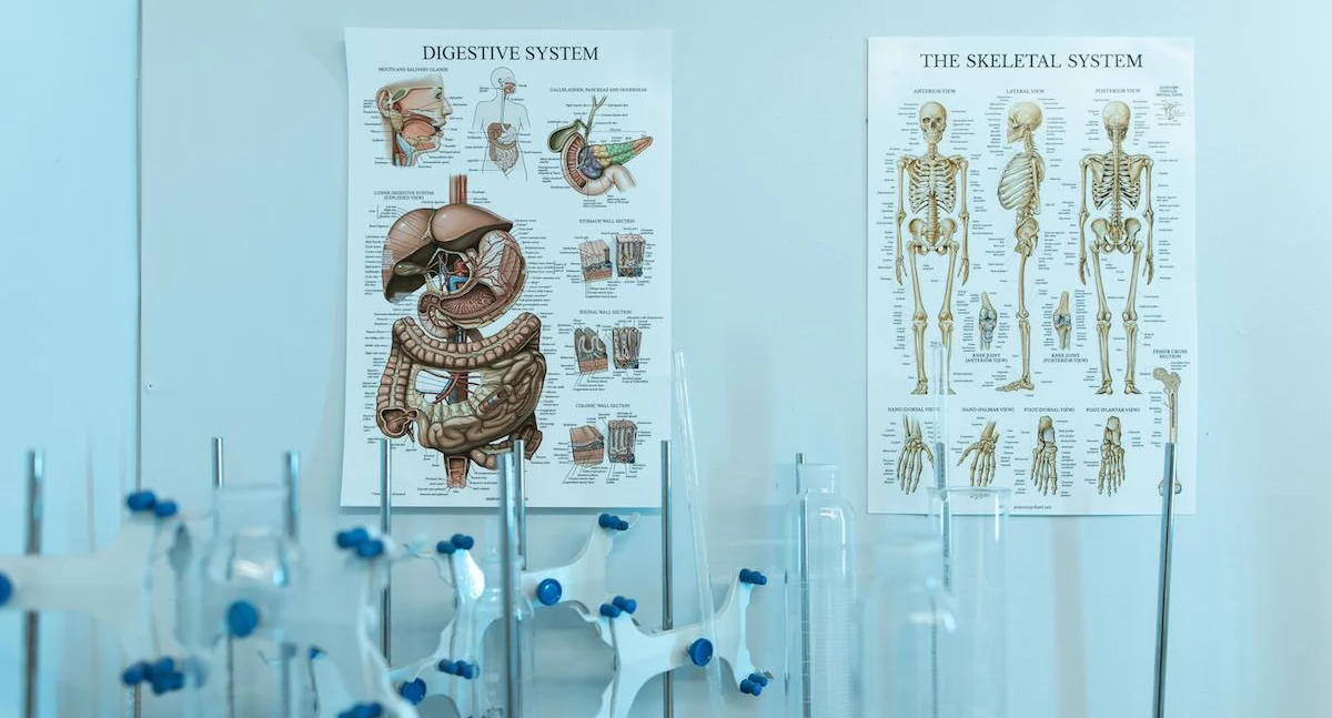 Zdrowe życie, Rektorzy uczelni medycznych krytykują system promocji jakości nauki - zdjęcie, fotografia