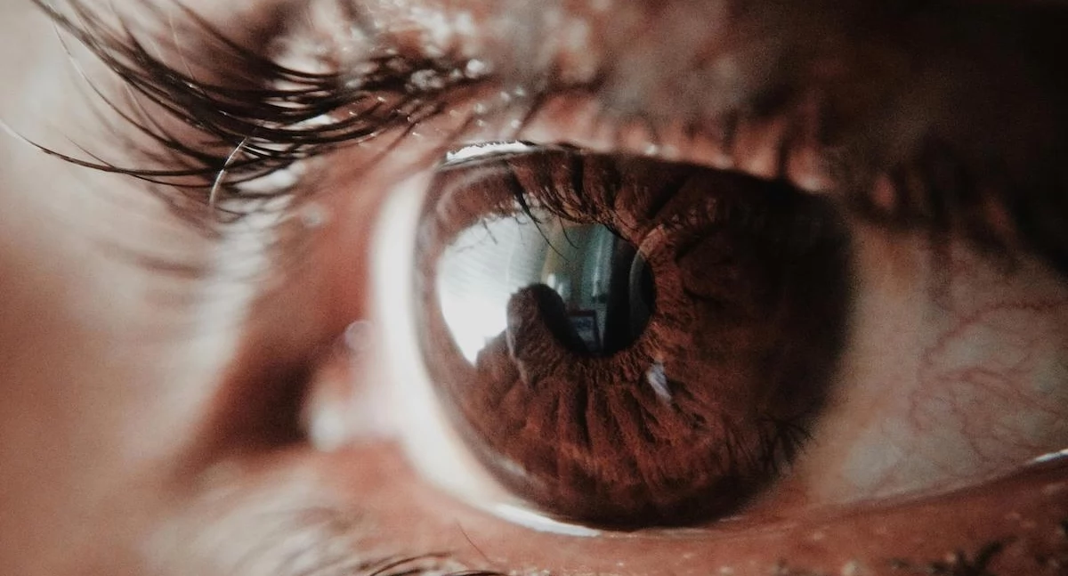 Zdrowe życie, Terapia komórkami macierzystymi naprawia uszkodzenia rogówki uznawane nieodwracalne - zdjęcie, fotografia