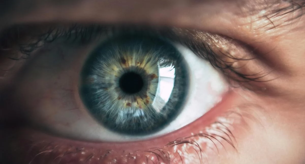 Zawody medyczne, Sprzeciw optometrystów wobec degradacji zawodu Małgorzata Leszczyńska wzrok najważniejszym zmysłem - zdjęcie, fotografia