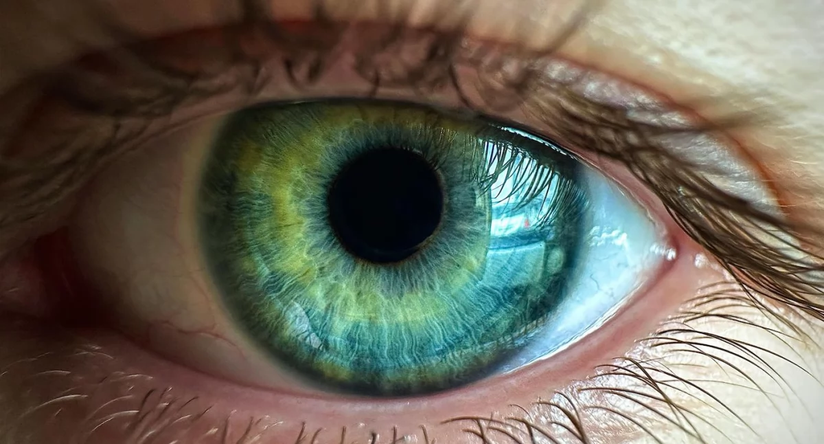 Zdrowe życie, Polscy naukowcy pracują diagnozy schizofrenii skanów siatkówki - zdjęcie, fotografia