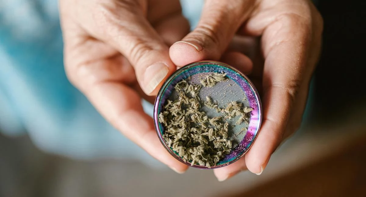 Zdrowe życie, Ponad tysięcy badań przeanalizowanych Eksperci marihuana naprawdę działa terapii - zdjęcie, fotografia