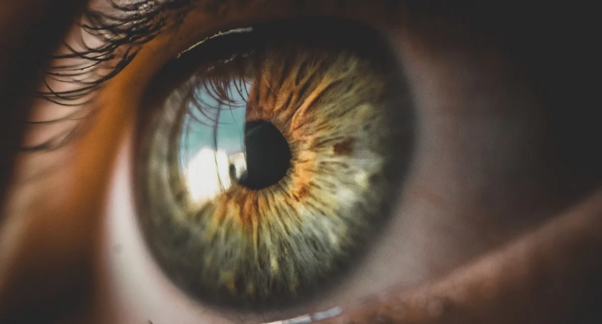 Badania kliniczne, Nadzieja osób tracących wzrok Odkryto który blokuje białko hamujące regenerację - zdjęcie, fotografia