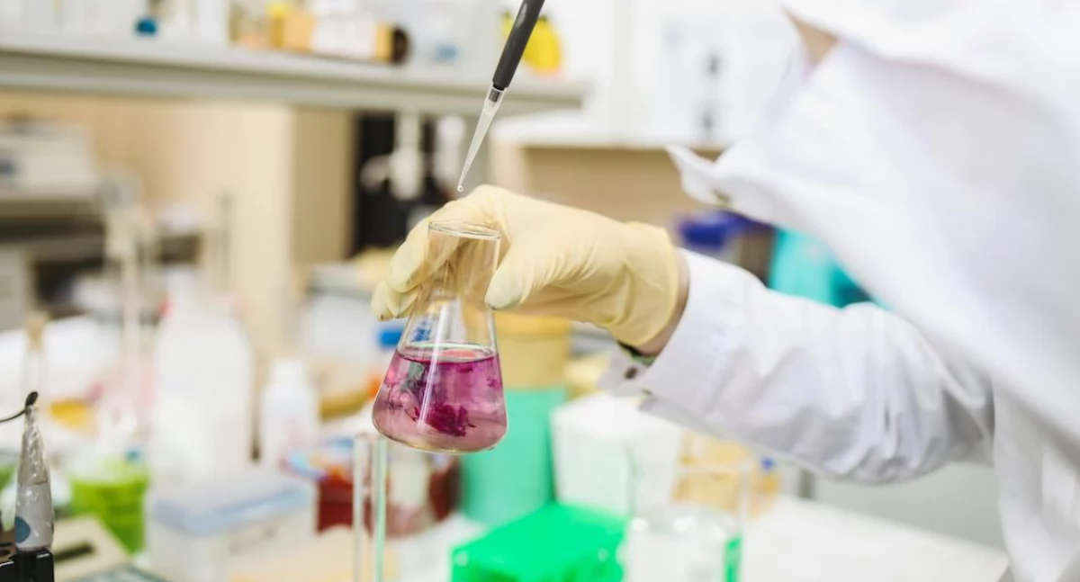 Badania kliniczne, Naukowcy alarmują nanoplastik może uszkadzać wątrobę jelita - zdjęcie, fotografia