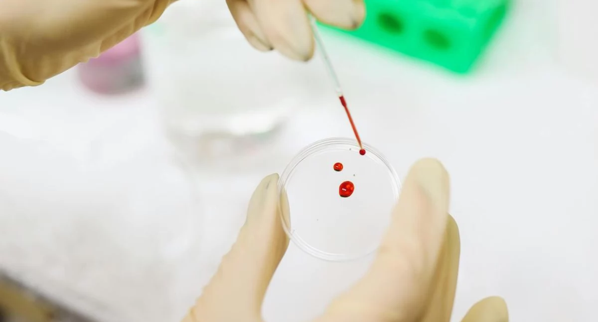Badania kliniczne, zegar biologiczny przewiduje długość życia Wystarczy kropla - zdjęcie, fotografia