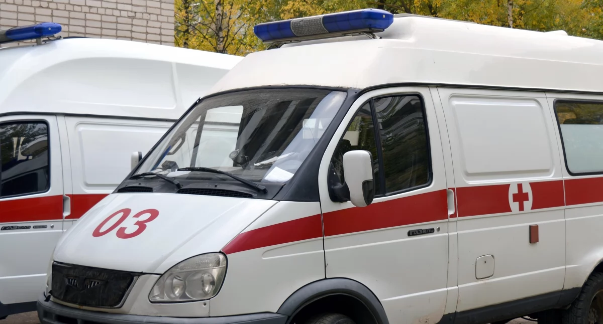 Zdrowe życie, żąda natychmiastowych działań rejestr agresji przepisy skuteczniejsze ściganie sprawców - zdjęcie, fotografia