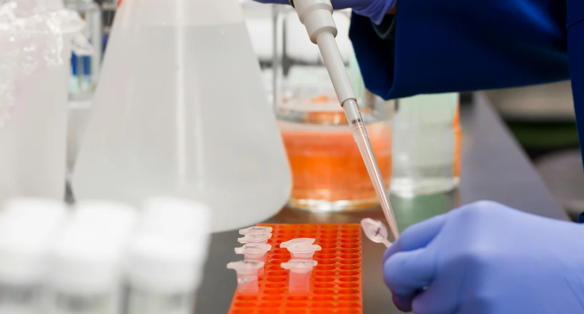 Trendy, Biobank zakończył największe badanie obrazowe ciała przeskanowano ochotników - zdjęcie, fotografia