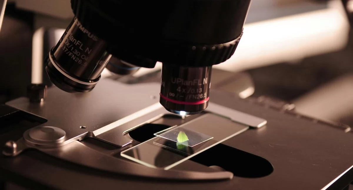 Badania kliniczne, technologia pozwala śledzić rozwój biopsji mikroskopu - zdjęcie, fotografia
