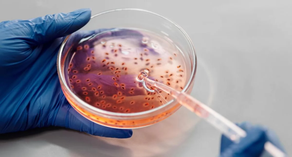 Badania kliniczne, broń przeciw rakowi jajnika radioimmunoterapia eliminuje komórki macierzyste nowotworu - zdjęcie, fotografia