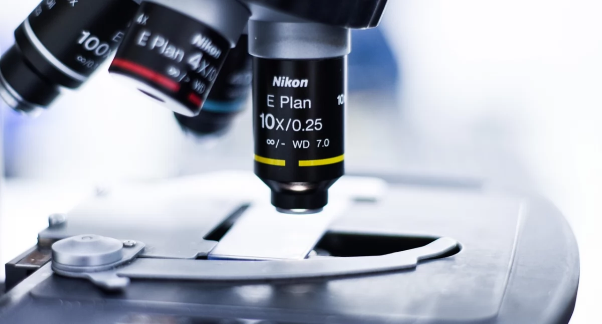 Badania kliniczne, Przełom badaniach wirusem białaczki Mechanizm wyciszania może pomóc także walce - zdjęcie, fotografia