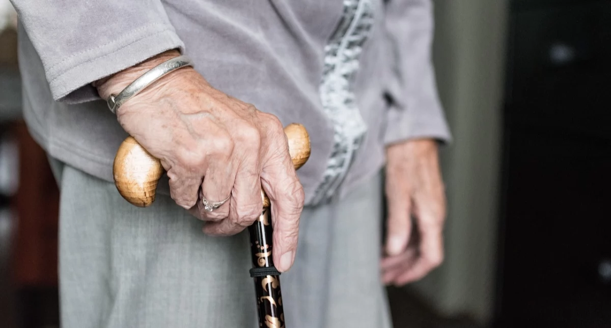 Badania kliniczne, Hipoksja spowalnia chorobę Parkinsona myszy Naukowcy mówią nowym kierunku terapii - zdjęcie, fotografia