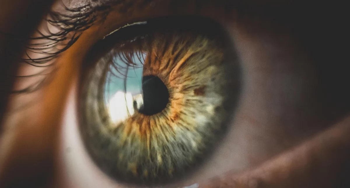 Badania kliniczne, Przełom udziałem ślimaka jabłkowego możliwa droga terapii chorób - zdjęcie, fotografia