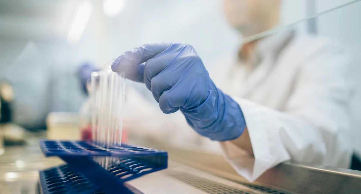 Biotechnologia, genetyka, Teleangiektazja plamki żółtej terapia szansą zachowanie wzroku - zdjęcie, fotografia