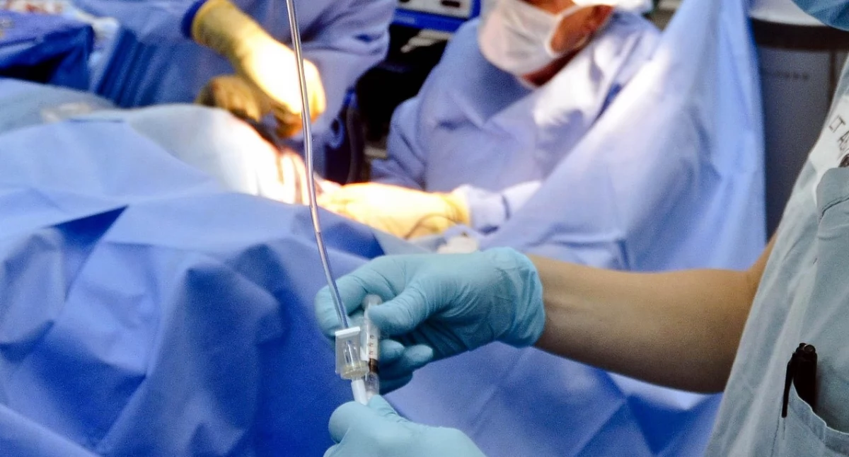 Badania kliniczne, Nowoczesna zastawka płucna wszczepiona przezskórnie pacjenta Tetralogią Fallota - zdjęcie, fotografia