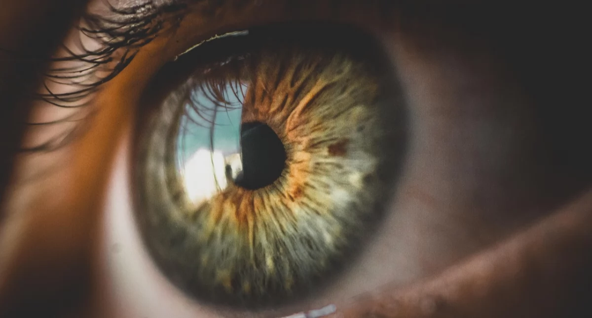 Badania kliniczne, Zaawansowana zwyrodnieniowa plamki żółtej przestaje wyrokiem Powstał specjalny implant siatkówki - zdjęcie, fotografia