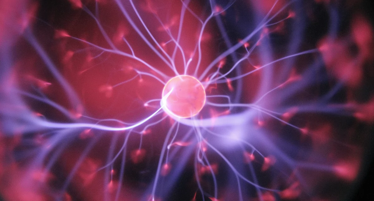 Badania kliniczne, sygnał elektryczny mózgu może pomóc lepiej leczyć chorobę Parkinsona - zdjęcie, fotografia