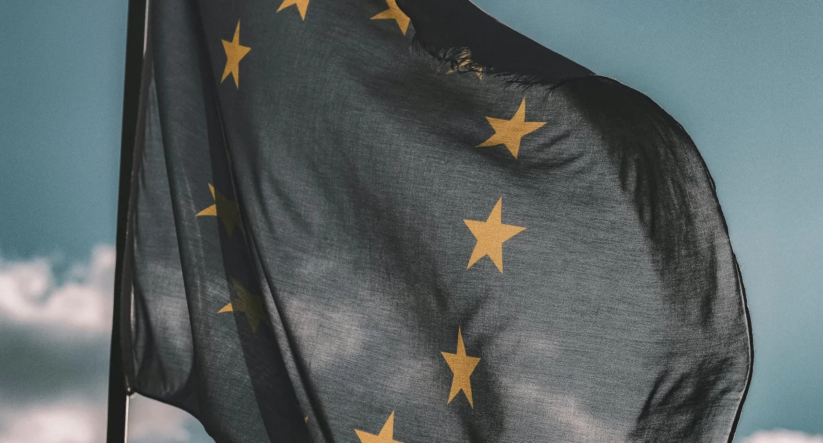 Na świecie, Parlament Europejski zagłosował prawa stworzył naprawdę „My Voice Choice” - zdjęcie, fotografia