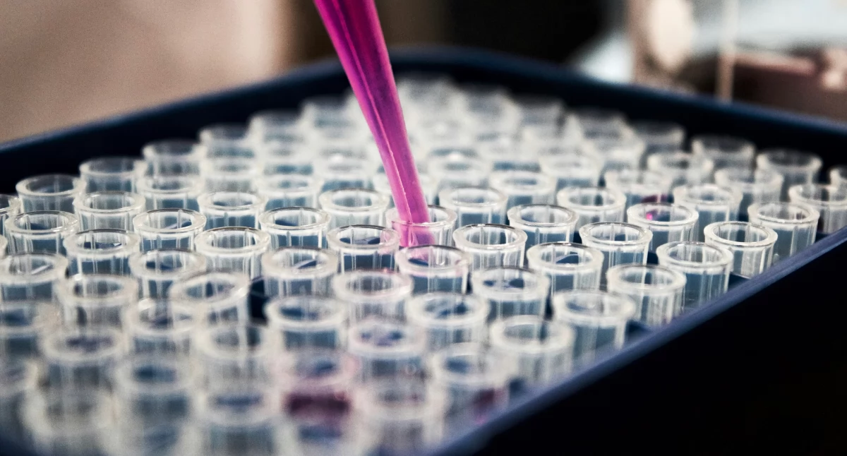 Biotechnologia potrzebuje ludzi, nie tylko laboratoriów. Fot.: Pexels