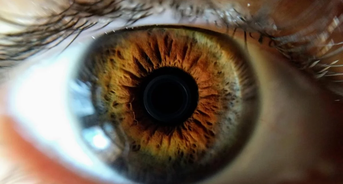 fot. Pexels.com