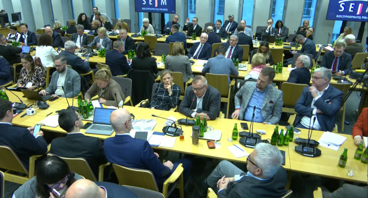 Posiedzenie połączonych komisji sejmowych ws. ustaw antyalkoholowych. Foto. screen Sejm