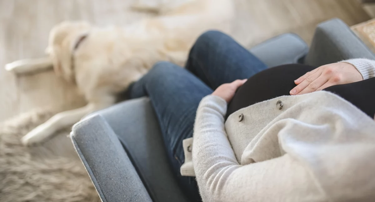 fot. Pixabay.com