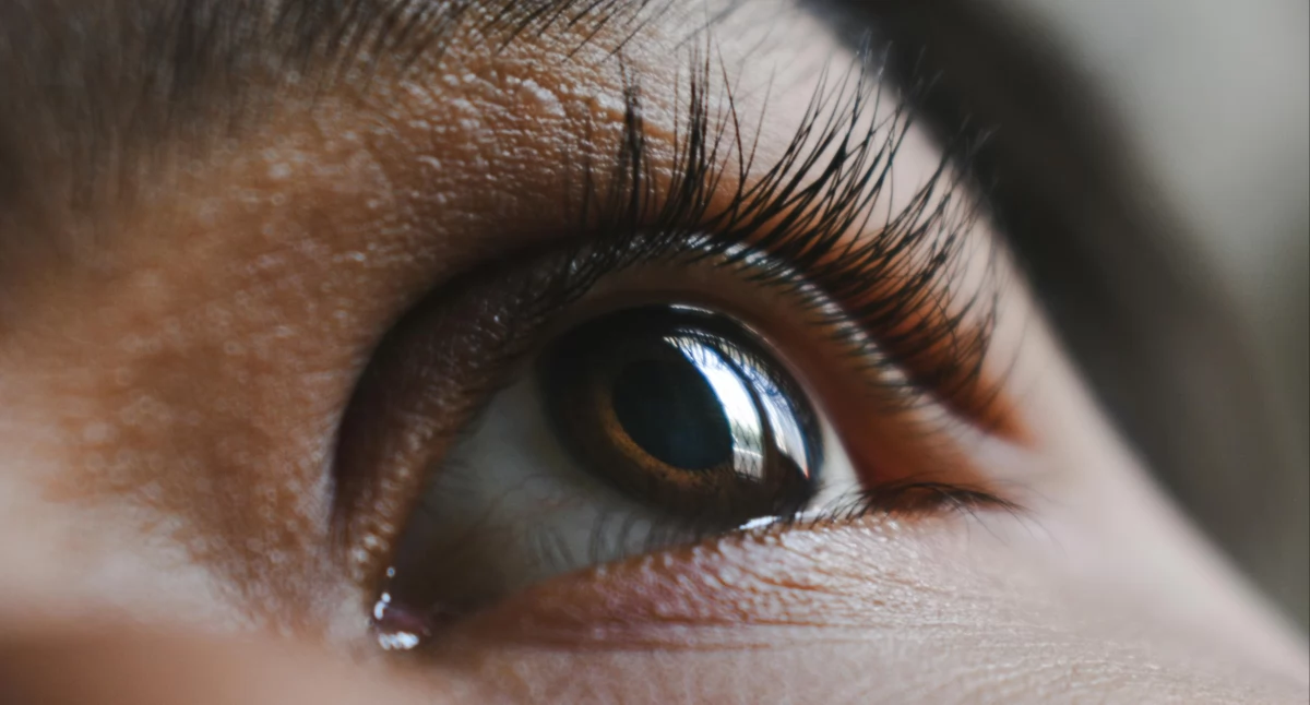 fot. Pexels.com