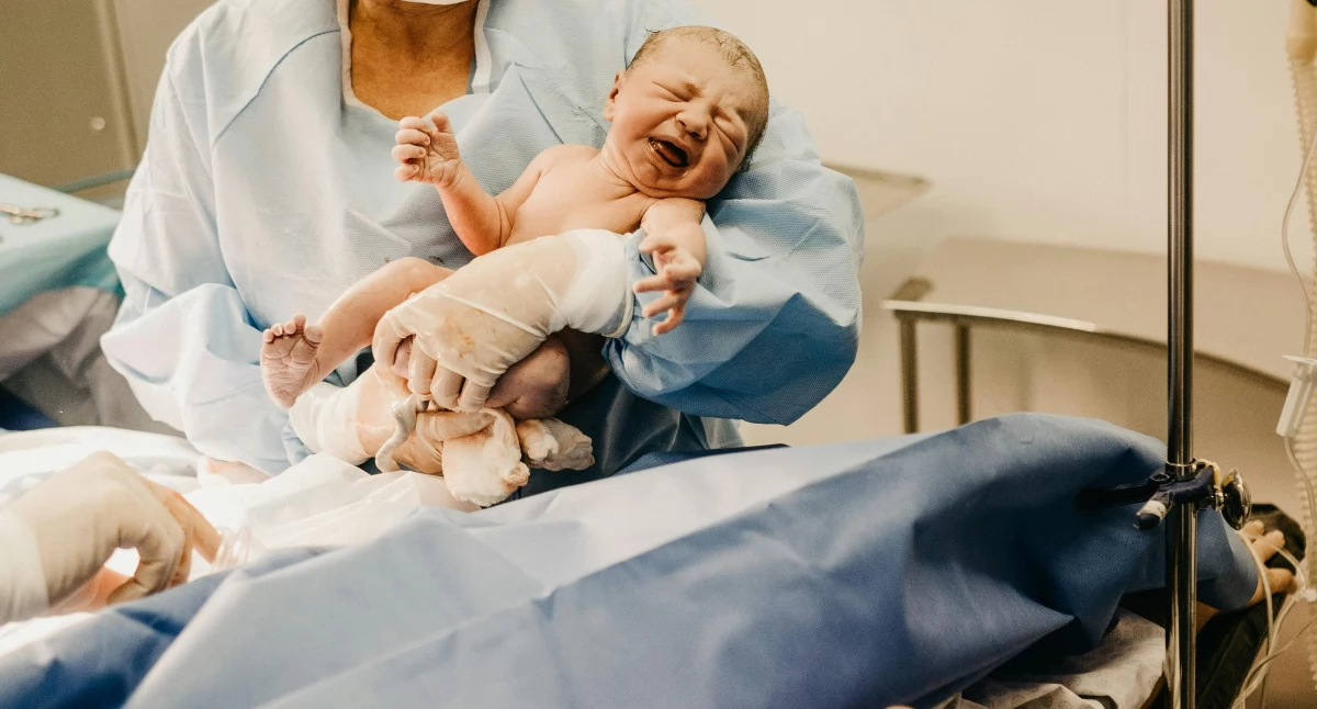 Foto: Pexels.com/pl