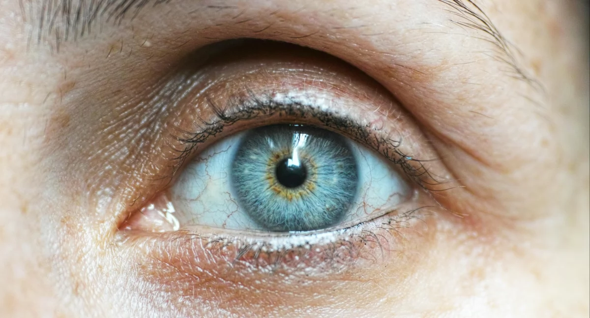 fot. Pexels.com