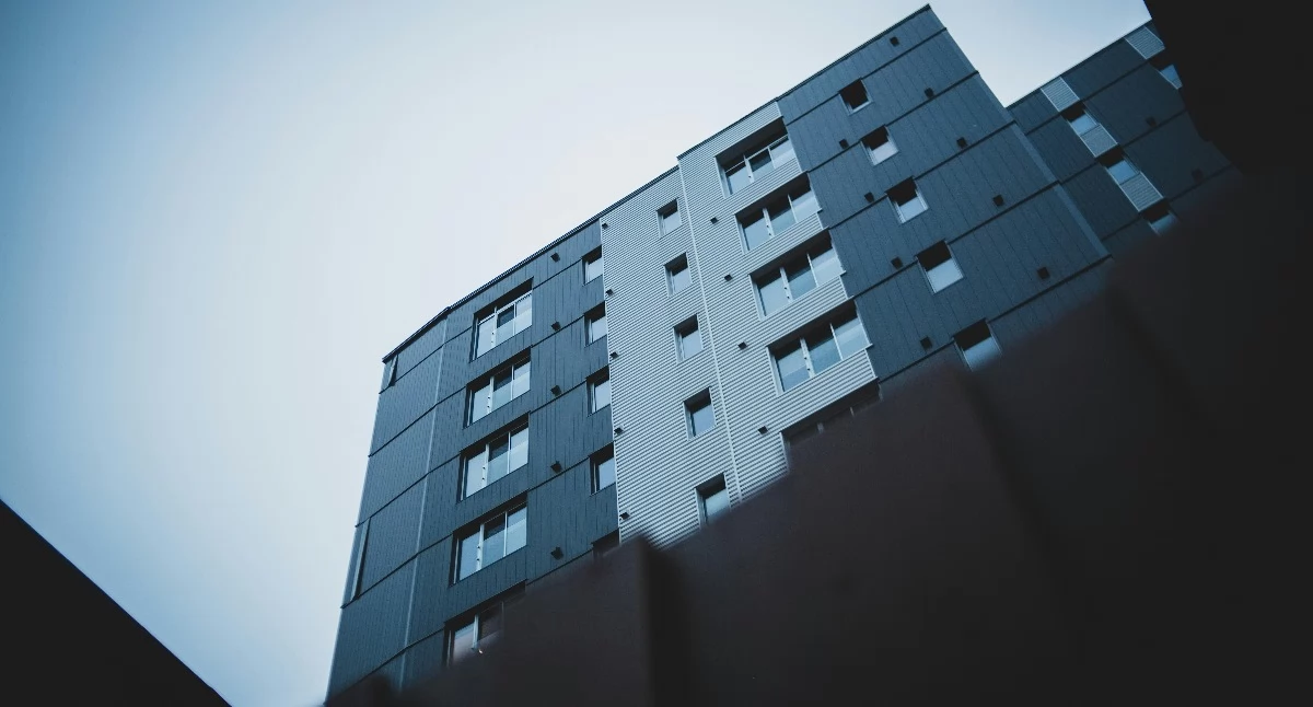 fot. Pexels.com