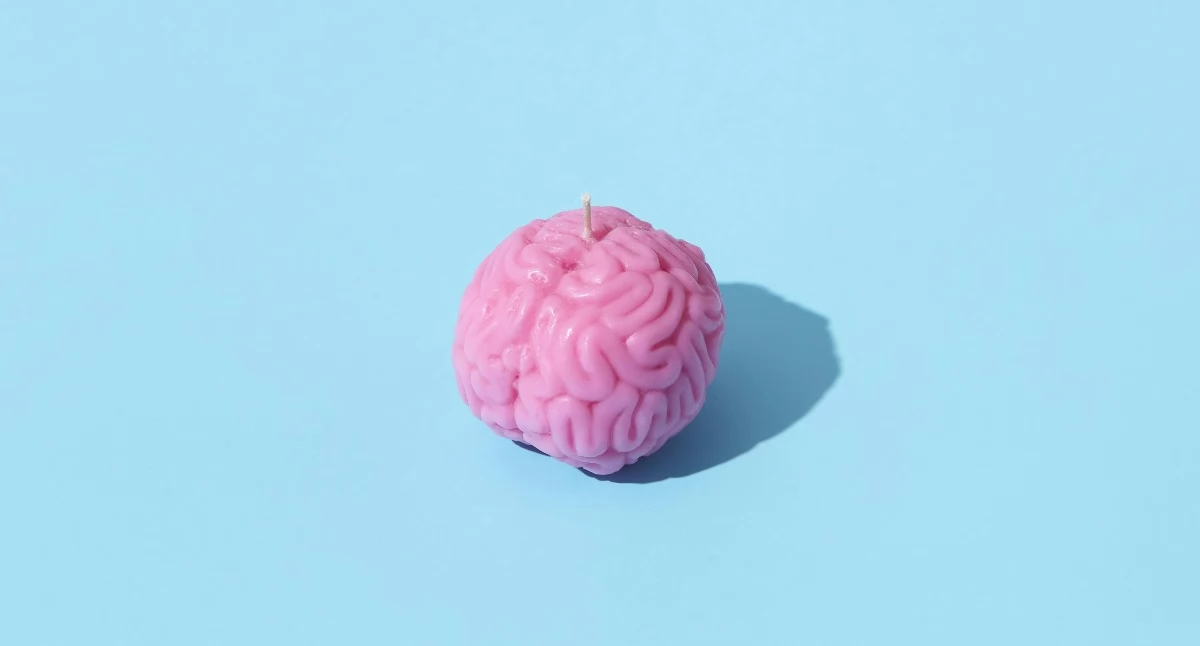 Leczenie, terapie, Neurobiologia przyspiesza praktyka kliniczna wciąż zostaje Europejski Dzień Mózgu - zdjęcie, fotografia