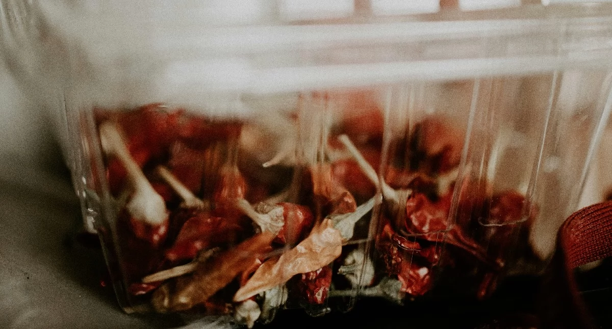 fot. Pexels.com