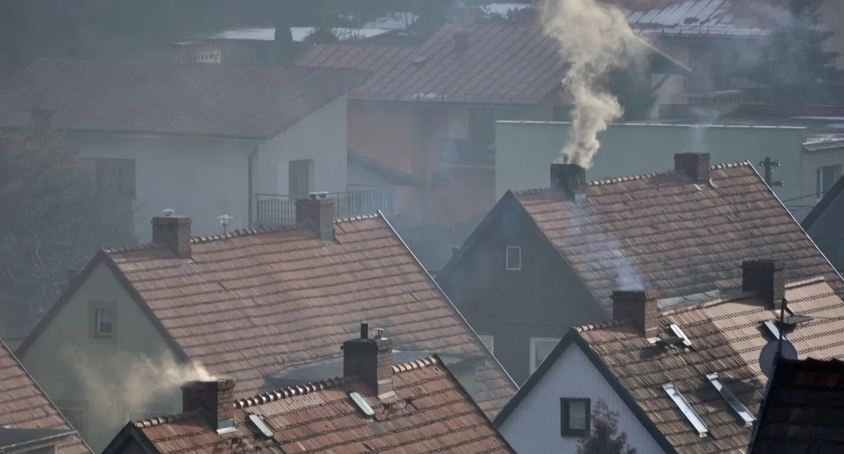 Kluczowym elementem reformy jest wprowadzenie nowych standardów jakości powietrza. Foto. Canva
