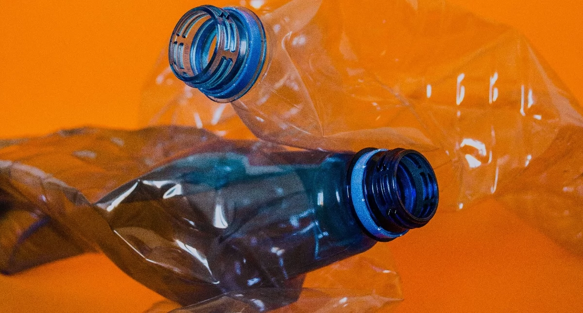 fot. Pexels.com